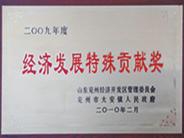 經(jīng)濟(jì)發(fā)展特殊貢獻(xiàn)獎