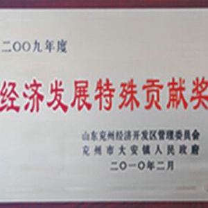 經(jīng)濟(jì)發(fā)展特殊貢獻(xiàn)獎